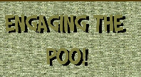 Engaging the Poo!